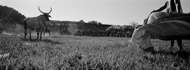 Jamie Baker South America