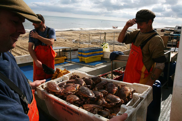 crabbing in Cromer