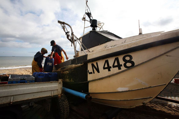 crabbing in Cromer
