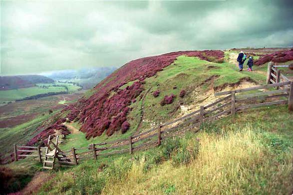 Northern England North York Moors 