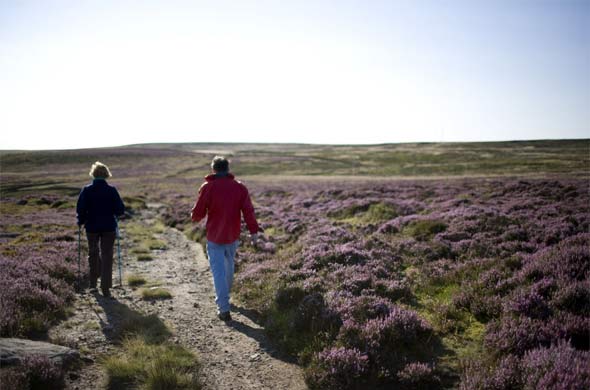 North of England Yorkshire