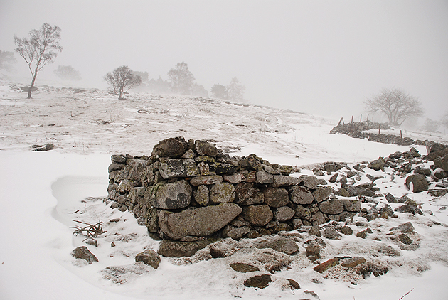 A derelict sheepfold in a blizzard