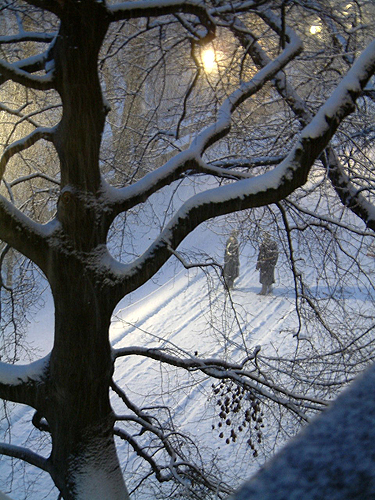 Winter evening, Prague