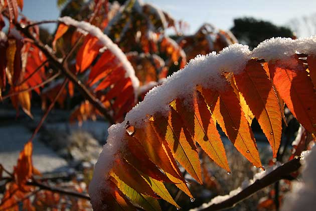 October snow in Birmingham