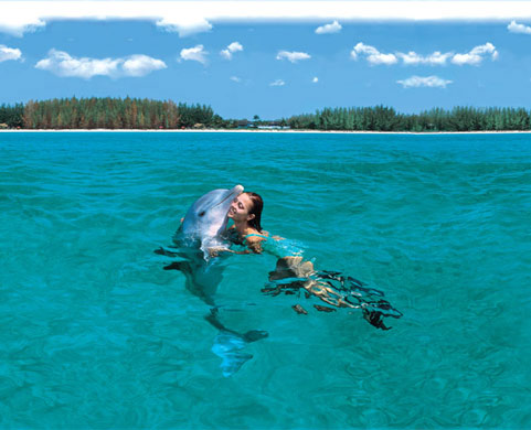 Woman swims with a dolphin in the Bahamas
