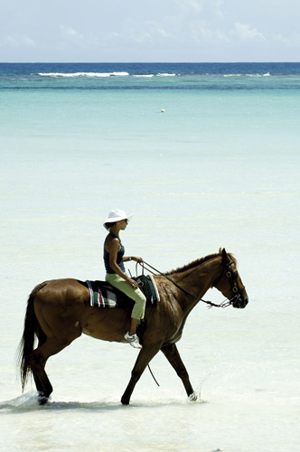 Horse riding in the Bahamas