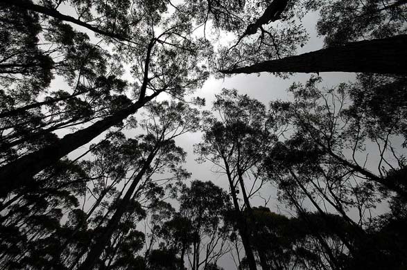 Bruny Island, Australia