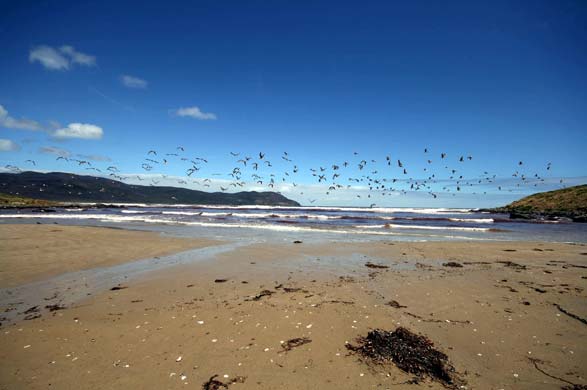 Bruny Island, Australia