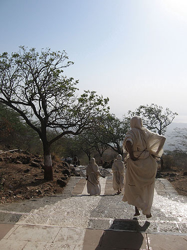 'Flying Nun', Shetrunjaya Hill, Gujarat, India