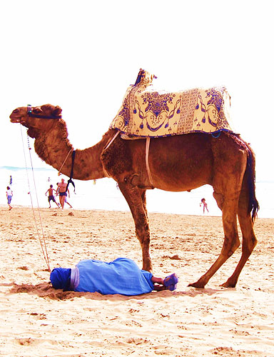 Man and camel, Morocco
