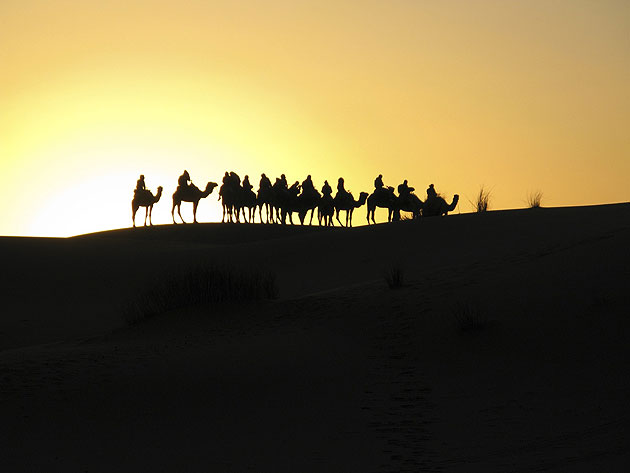 Sunrise by camel, Sahara desert