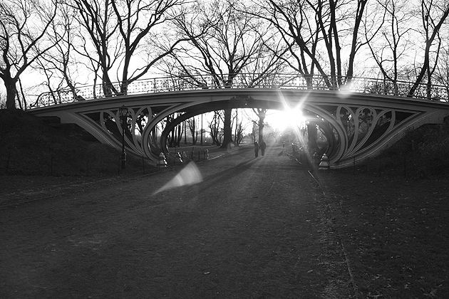 Bridle-path, Central Park