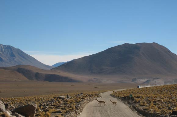 Mike Carter in South America