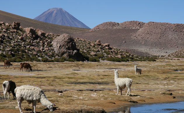 Mike Carter in South America