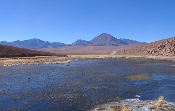 Mike Carter in South America