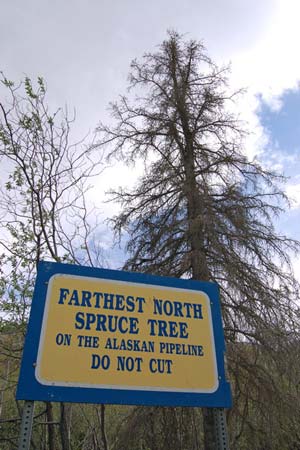 Road trip across Alaska