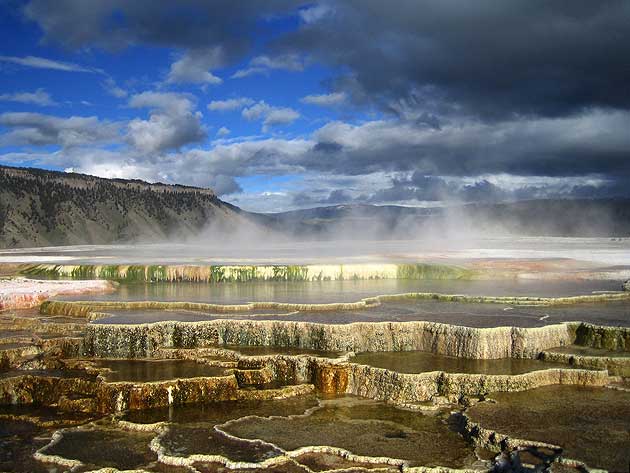 Mammoth Springs, Yellowstone National Park