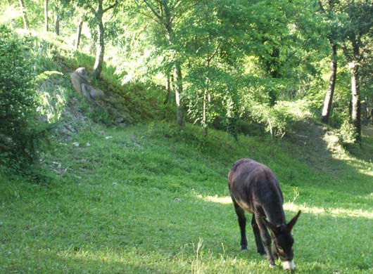 Can Ginebreda sculpture park