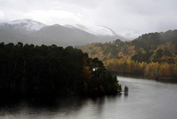 Glen Affric, Scotland