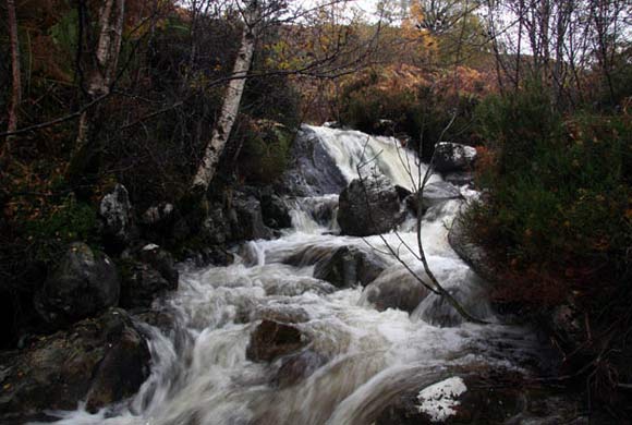 Glen Affric, Scotland