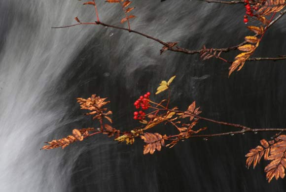 Glen Affric, Scotland