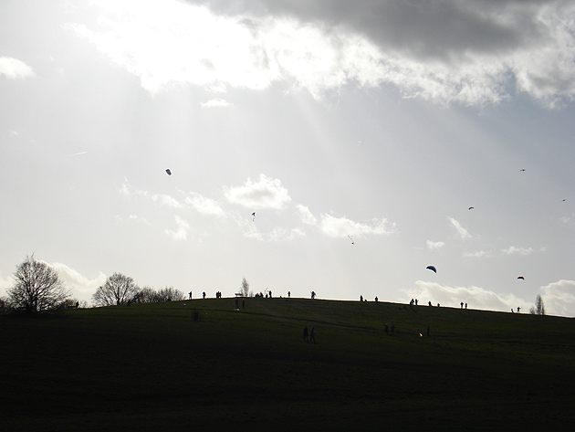 Kites, Hampstead Heath