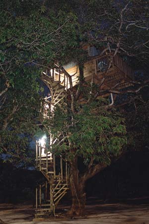 treehouse