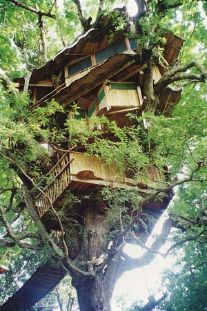 treehouse