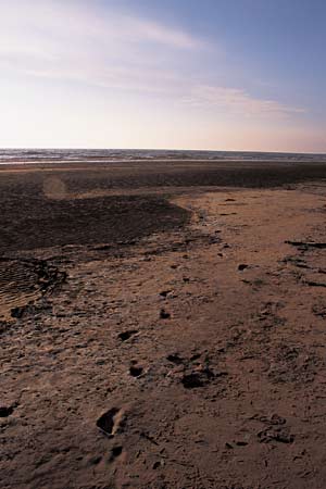 Standing stones: Formby Point, Liverpool