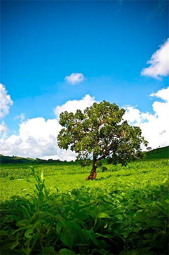 Mulanje, Southern Malawi