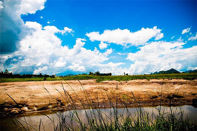 African Plains