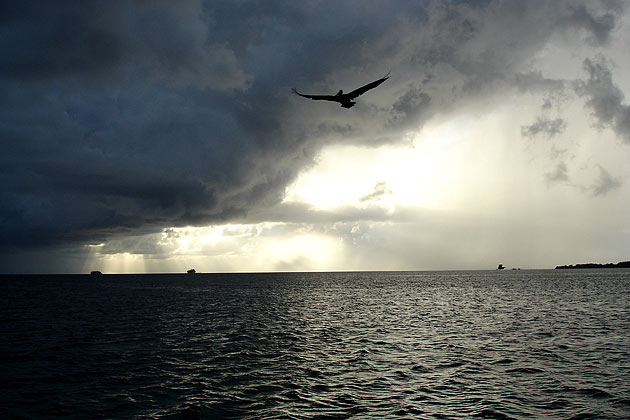 Storm brewing in Jewel Cay