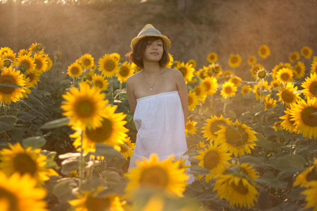 Woman in a field of sunflowers