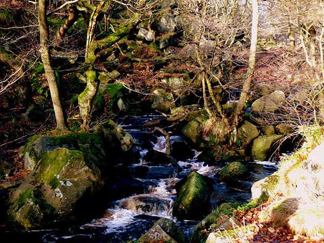 Padley Gorge