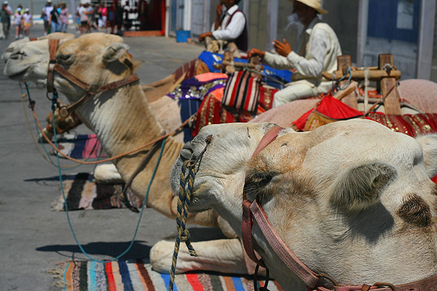 La Goulette, Tunisia