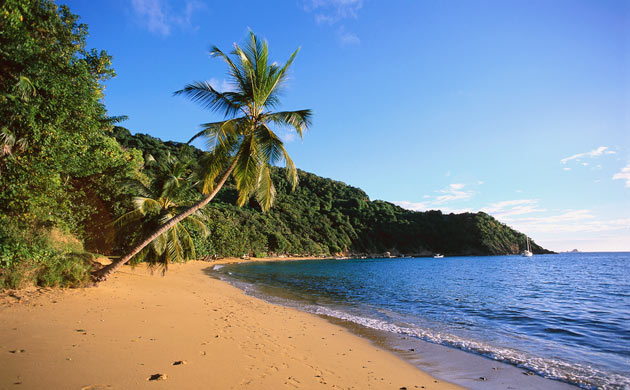 Beach in Tobago