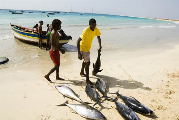 Beach, Cape Verde