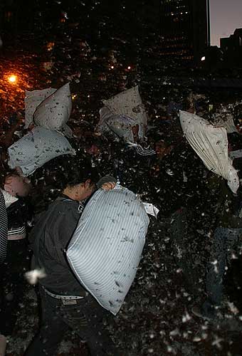 St Valentine's Day pillow fight