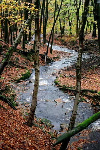 River Roddlesworth