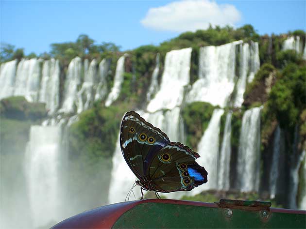 Iguazu Falls