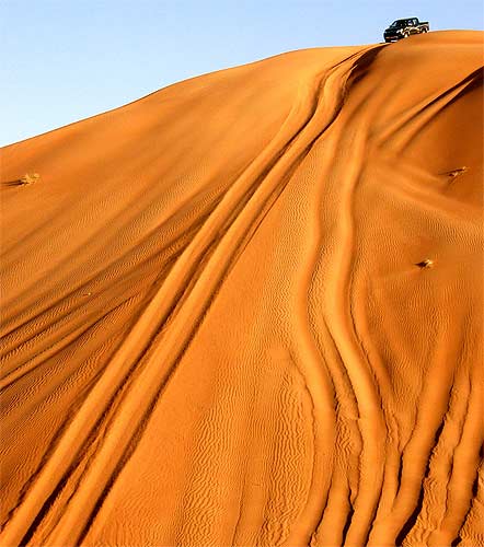 Omani sand dunes