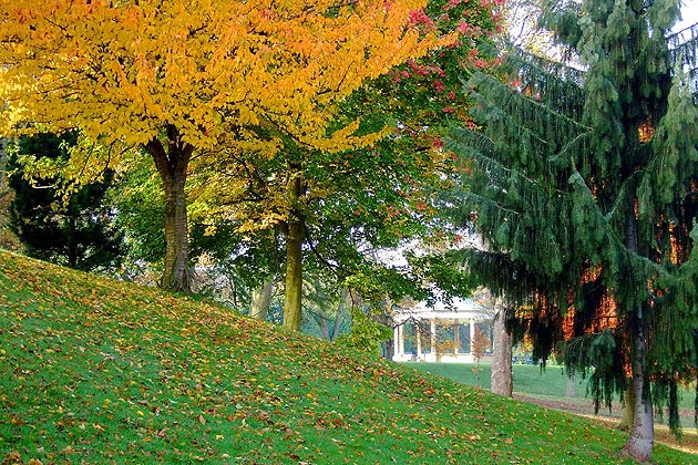 A park in Bradford