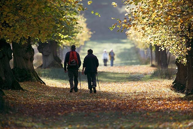 A walk in Lyme Park