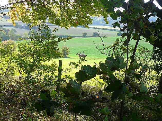 Horse riders on the Ridgeway path