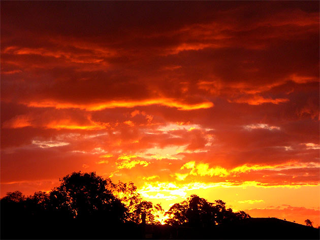Gunnedah, NSW, Australia