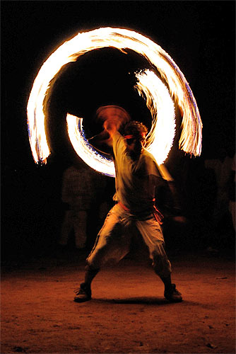 Chitwan, National Park, Nepal