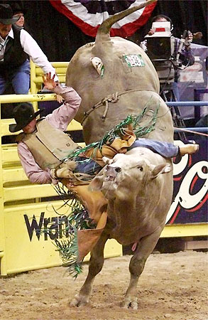 The National Finals Rodeo in Las Vegas