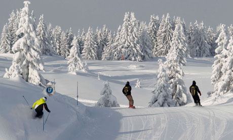 Skiwatch: Every skier's dream with snow on snow and powder everywhere ...