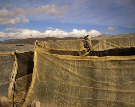 Images from Stuart Franklin's Footprint: Our Landscape in Flux book