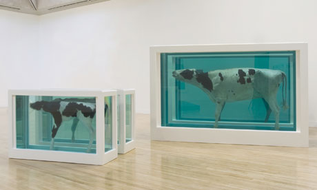 Mother and Child Divided by Damien Hirst
